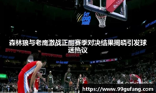 森林狼与老鹰激战正酣赛季对决结果揭晓引发球迷热议